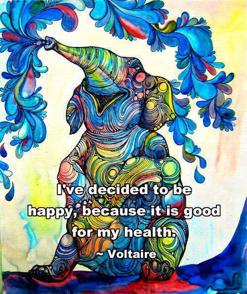 946643_546179998756884_561738197_n